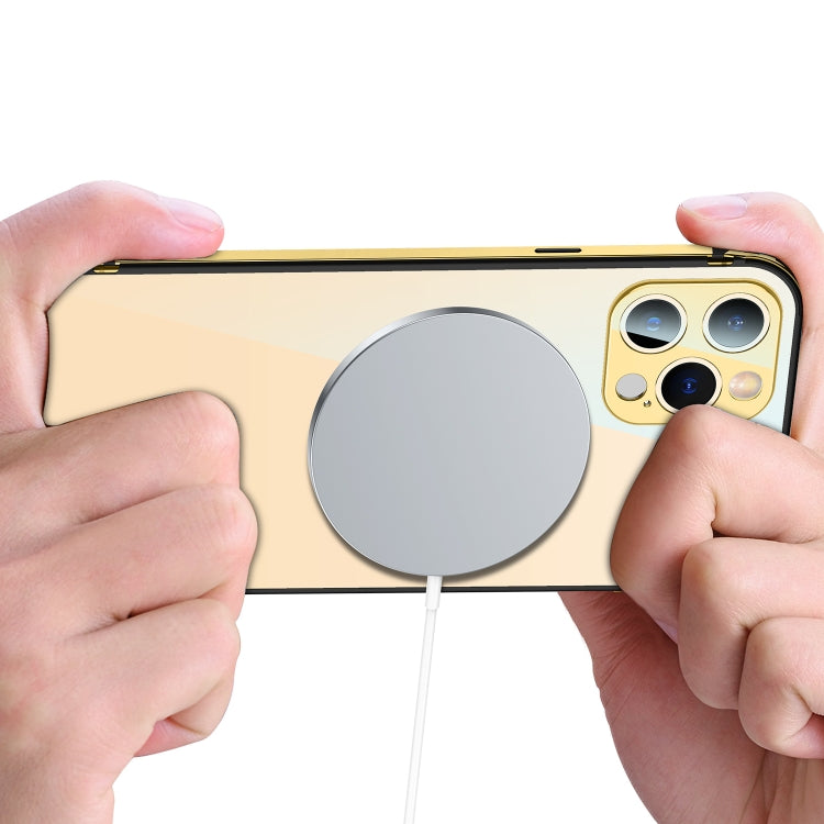 For iPhone 12 Pro Stainless Steel+TPU Metal Transparent Phone Case