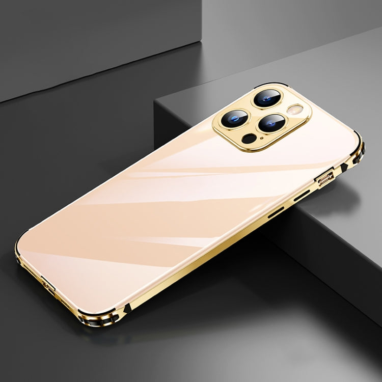 For iPhone 13 Pro Max Stainless Steel+TPU Metal Transparent Phone Case