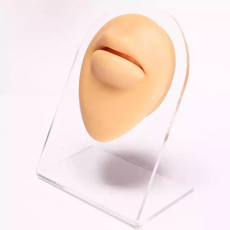Simulation Facial Features Silicone Model Practice Display Props, Style:Mouth
