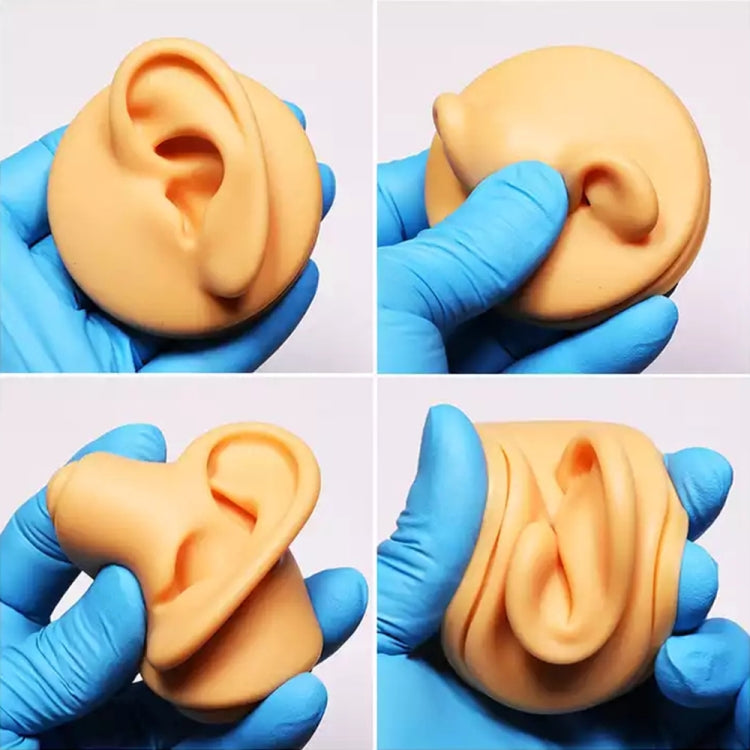 Simulation Facial Features Silicone Model Practice Display Props, Style:Mouth