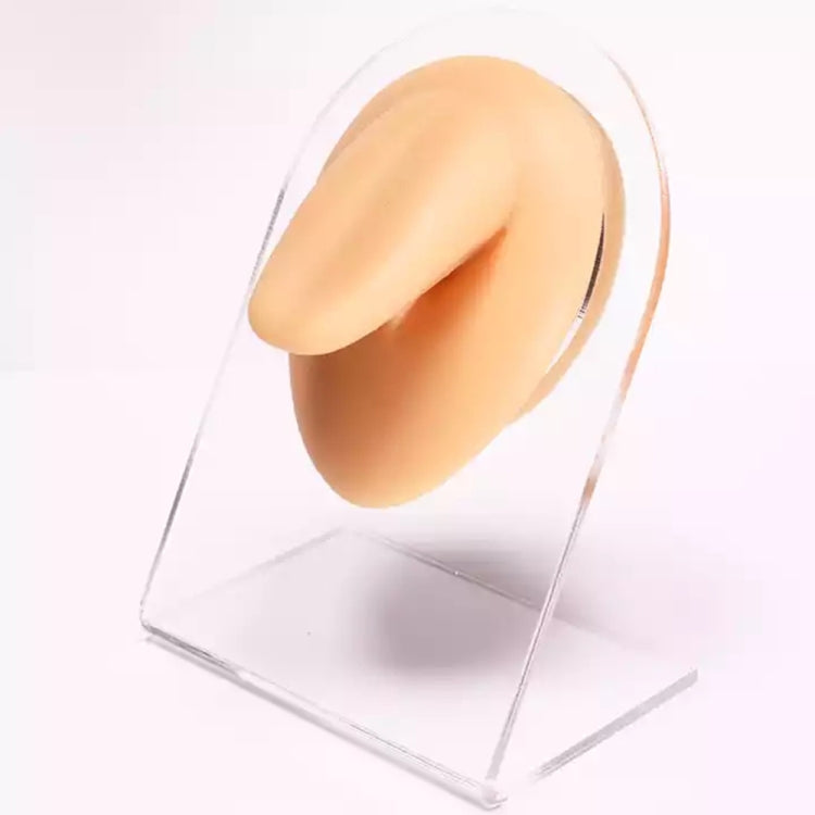 Simulation Facial Features Silicone Model Practice Display Props, Style:Tongue