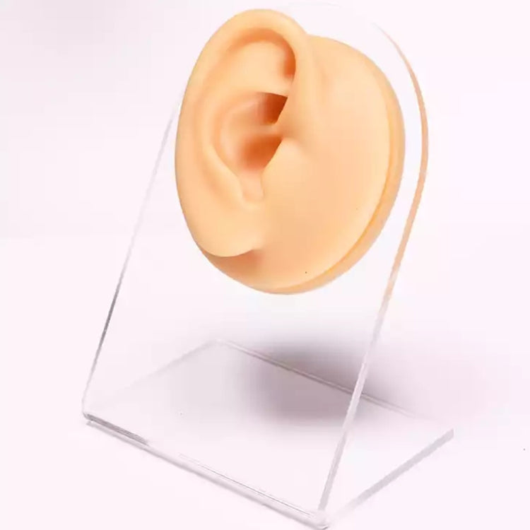 Simulation Facial Features Silicone Model Practice Display Props, Style:Right Ear