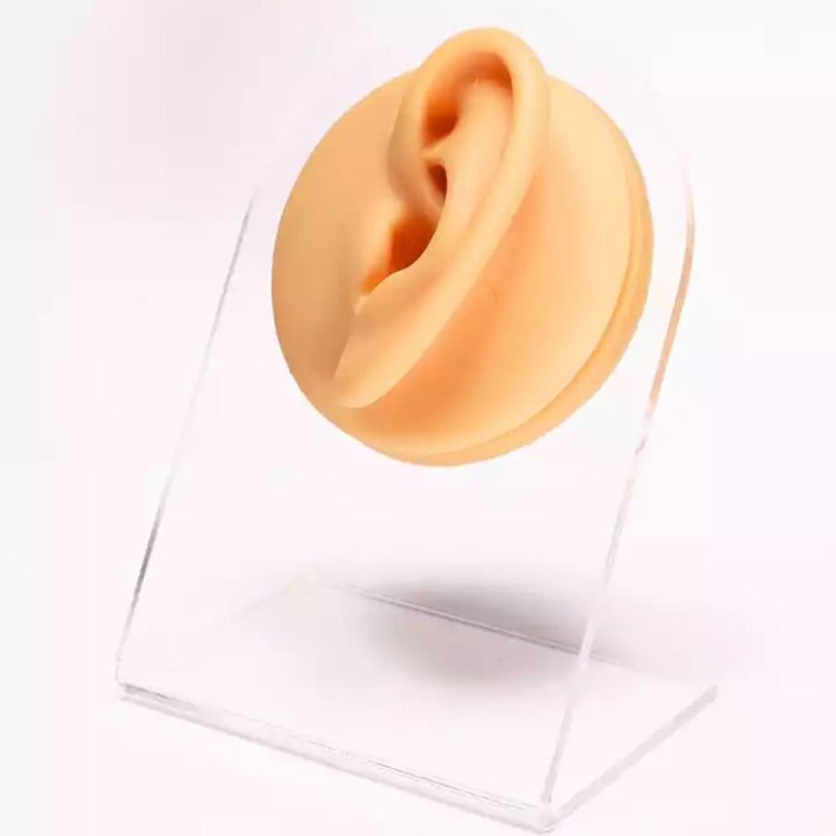 Simulation Facial Features Silicone Model Practice Display Props, Style:Left Ear
