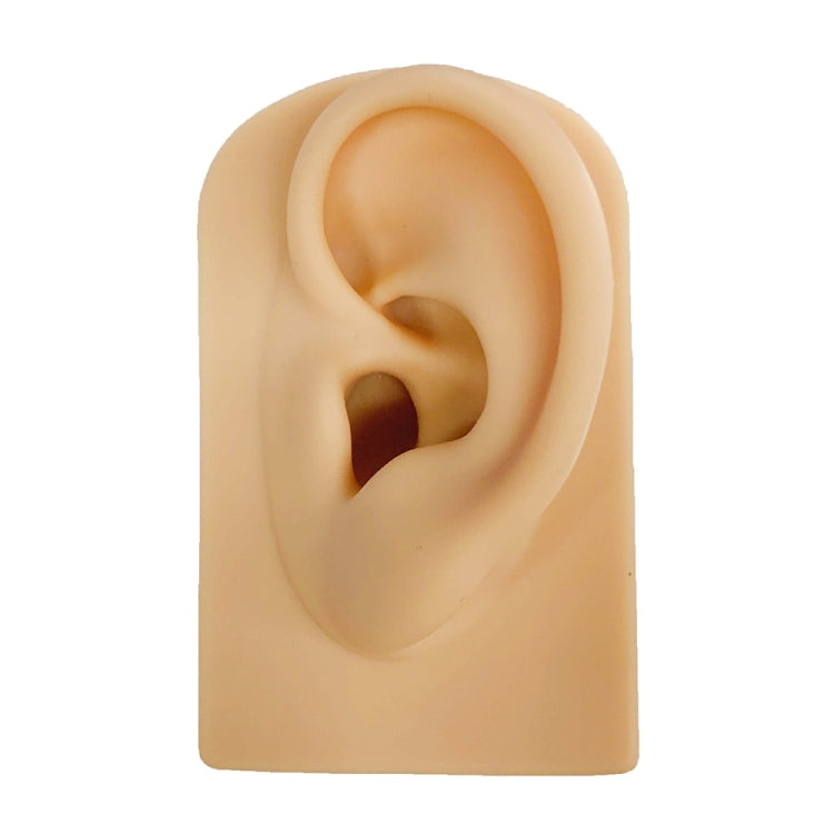 TX-S90 Simulation Ear Silicone Model Practice Display Props, Style:Left Ear