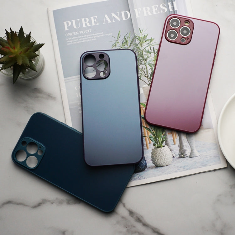 For iPhone 13 Pro Max AG Frosted Sweatproof Shockproof Phone Case