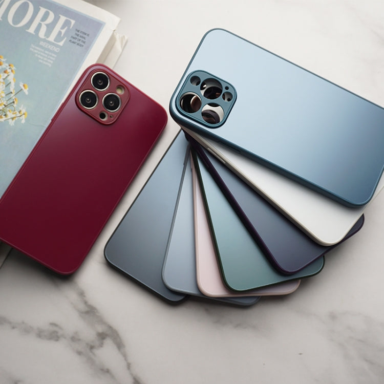 For iPhone 11 Pro Max AG Frosted Sweatproof Shockproof Phone Case