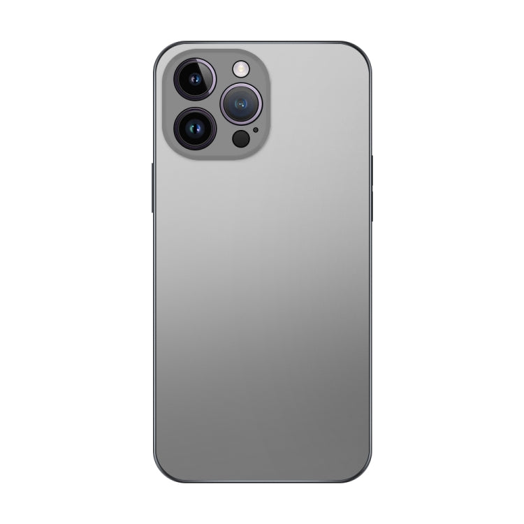 For iPhone 13 Pro Max Electroplating AG Frosted Phone Case