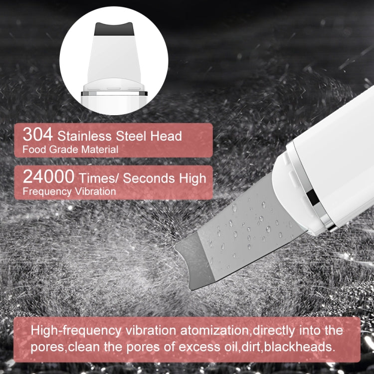 ANLAN Ultrasonic Shovel Skin Machine Cleansing Beauty Instrument Type-C Style