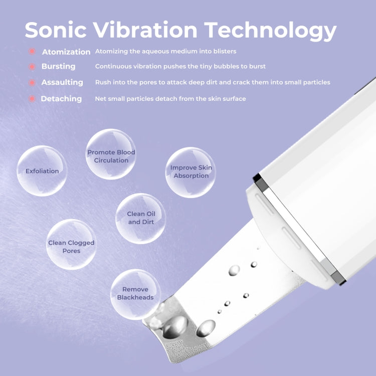 ANLAN Ultrasonic Shovel Skin Machine Cleansing Beauty Instrument Type-C Style