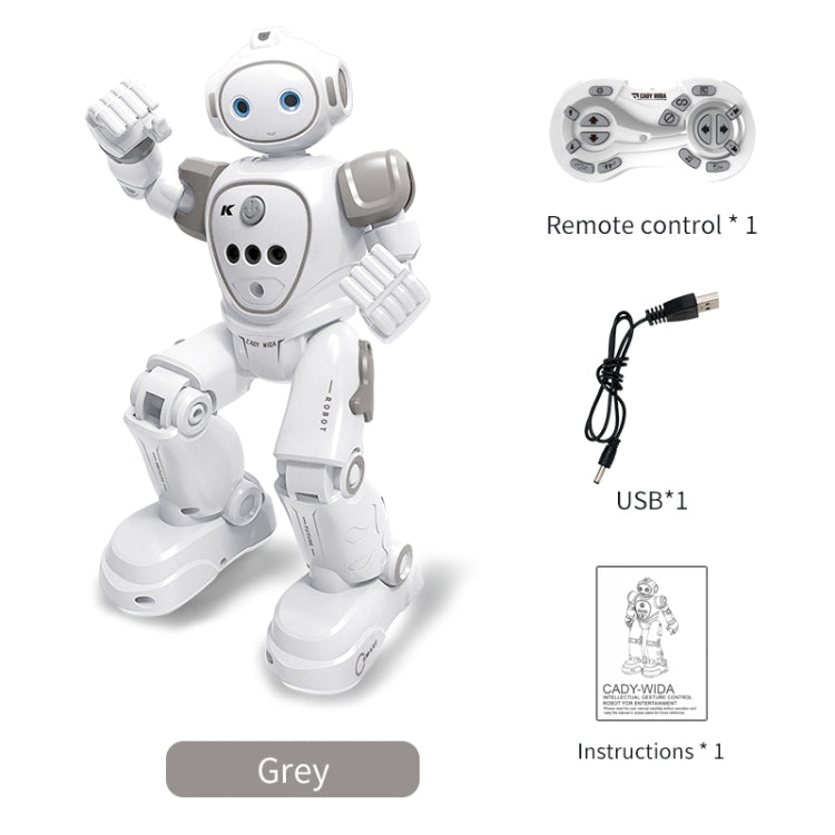 JJR/C R21 Intelligent Programmed Remote Control Electric Robot