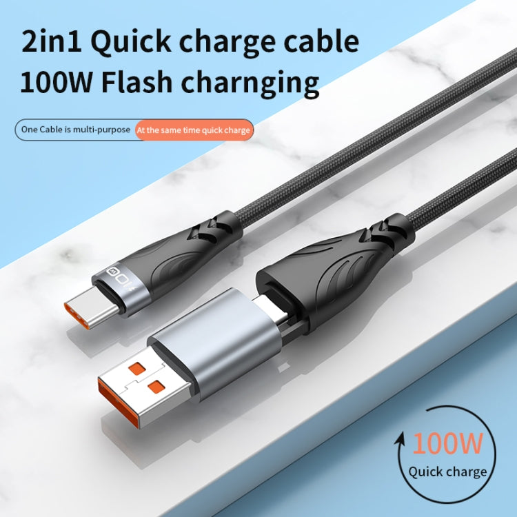 ADC-008 2 in 1 PD 100W USB/Type-C to Type-C Fast Charge Data Cable, Length: 1m