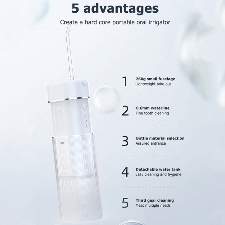 WF309 Portable Retractable and Detachable Smart Teeth Scaling Instrument Oral Care Flosser