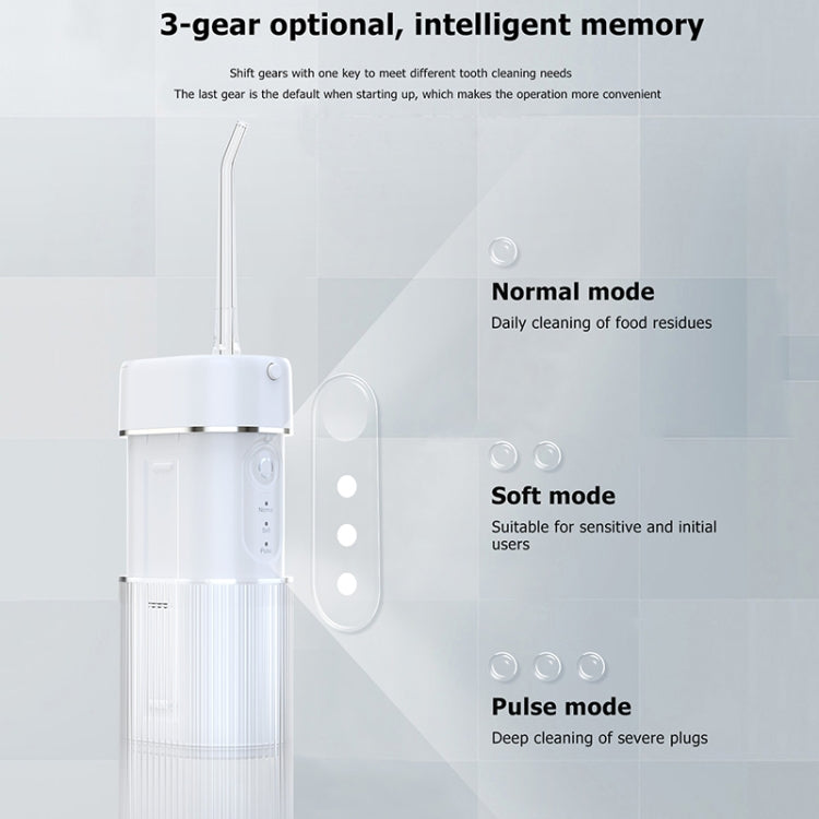 WF309 Portable Retractable and Detachable Smart Teeth Scaling Instrument Oral Care Flosser