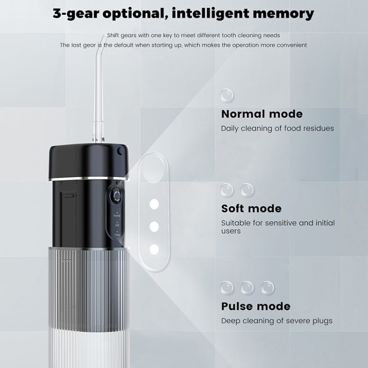 WF309 Portable Retractable and Detachable Smart Teeth Scaling Instrument Oral Care Flosser