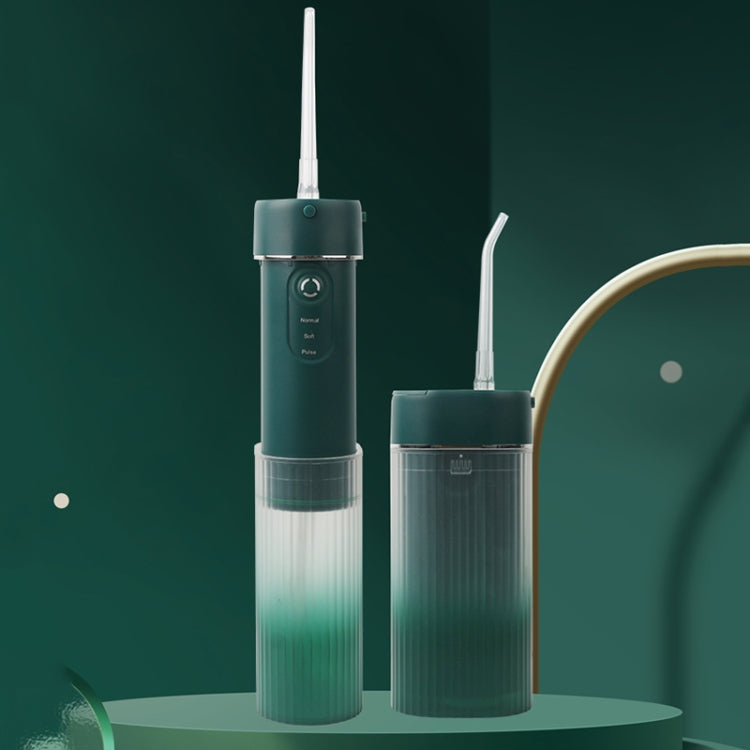 WF309 Portable Retractable and Detachable Smart Teeth Scaling Instrument Oral Care Flosser