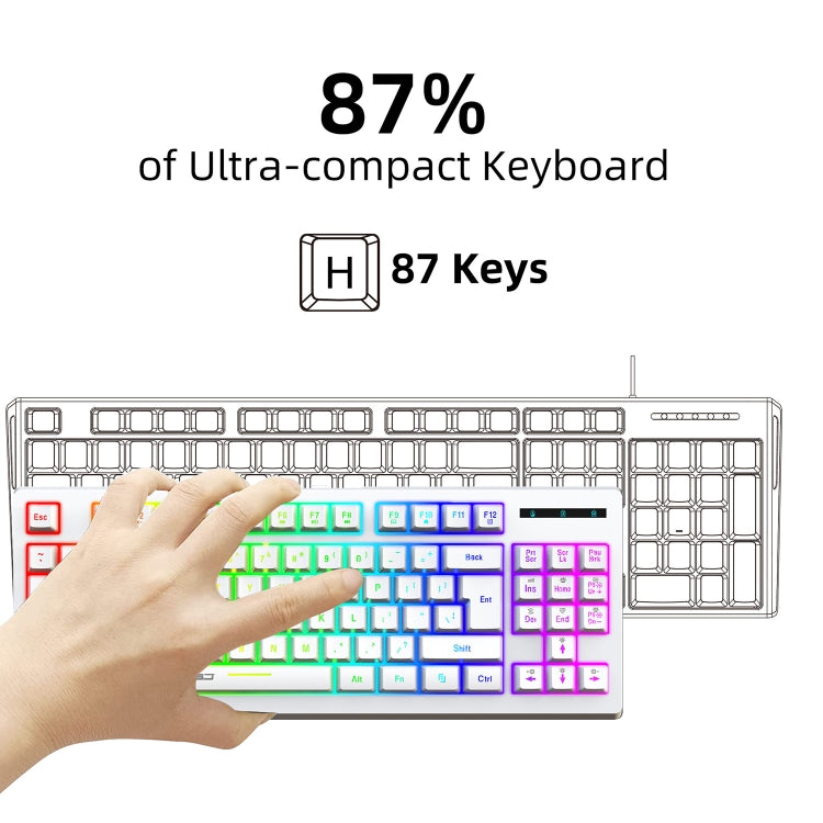 HXSJ L100 87 Keys RGB Backlit Film 2.4G Wireless Keyboard