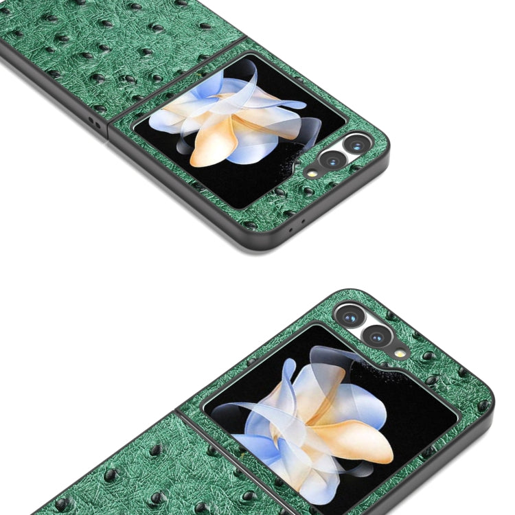 For Samsung Galaxy Z Flip6 / Flip7 FE ABEEL Genuine Leather Ostrich Texture Phone Case
