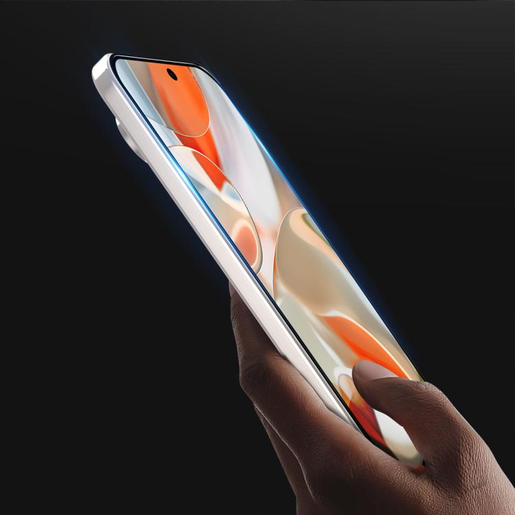For Google Pixel 9 Pro XL / 10 Pro XL 10pcs DUX DUCIS 0.33mm 9H Medium Alumina Tempered Glass Film