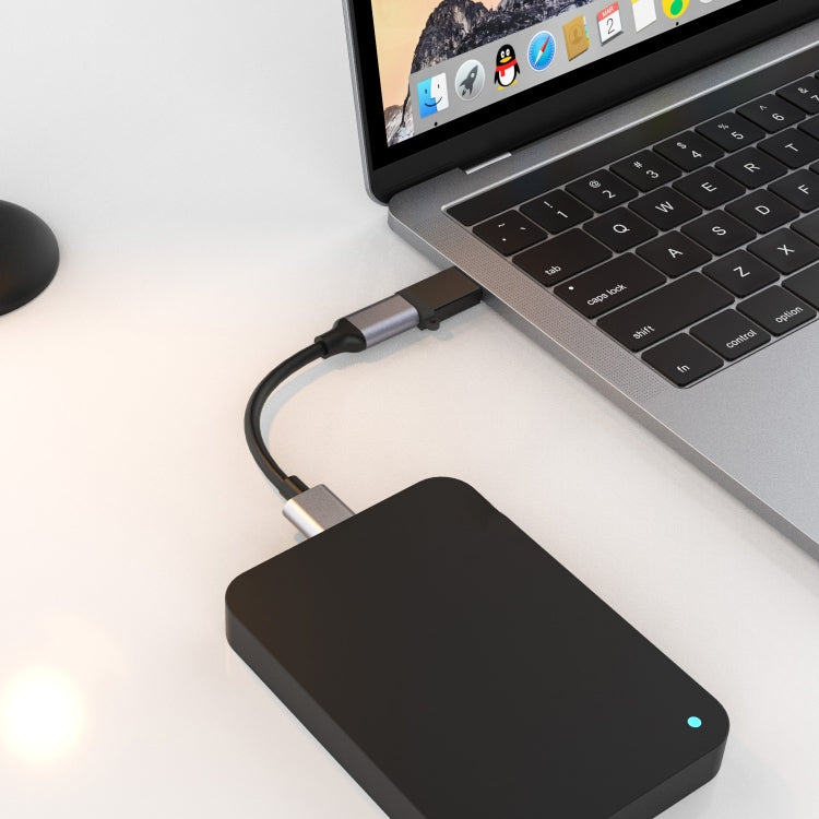 5311T USB to Type-C Adapter Converter