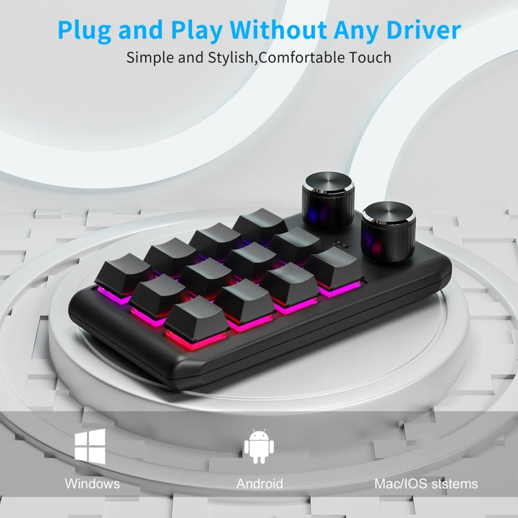 Bluetooth Wireless 12KV2 MOLD Mini Mechanical 12 Keys 2 Knob Custom Programming Keyboard