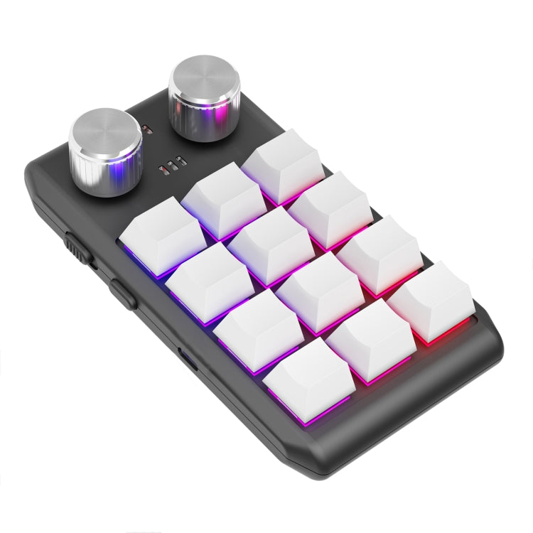 Bluetooth Wireless 12KV2 MOLD Mini Mechanical 12 Keys 2 Knob Custom Programming Keyboard