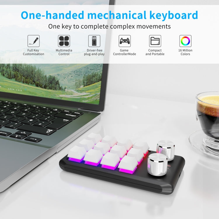 Bluetooth Wireless 12KV2 MOLD Mini Mechanical 12 Keys 2 Knob Custom Programming Keyboard