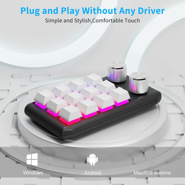 Bluetooth Wireless 12KV2 MOLD Mini Mechanical 12 Keys 2 Knob Custom Programming Keyboard