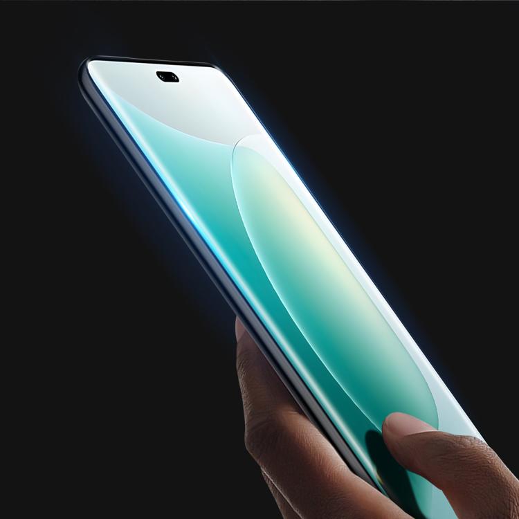 For Honor 300 Pro / 300 Ultra 10pcs DUX DUCIS 0.33mm 9H Medium Alumina Tempered Glass Film