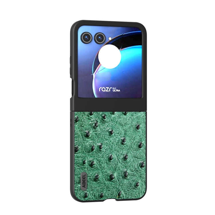 For Motorola Razr 50 ABEEL Genuine Leather Ostrich Texture Phone Case