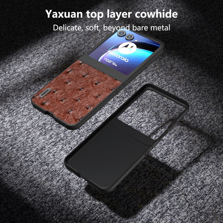 For Motorola Razr 50 ABEEL Genuine Leather Ostrich Texture Phone Case