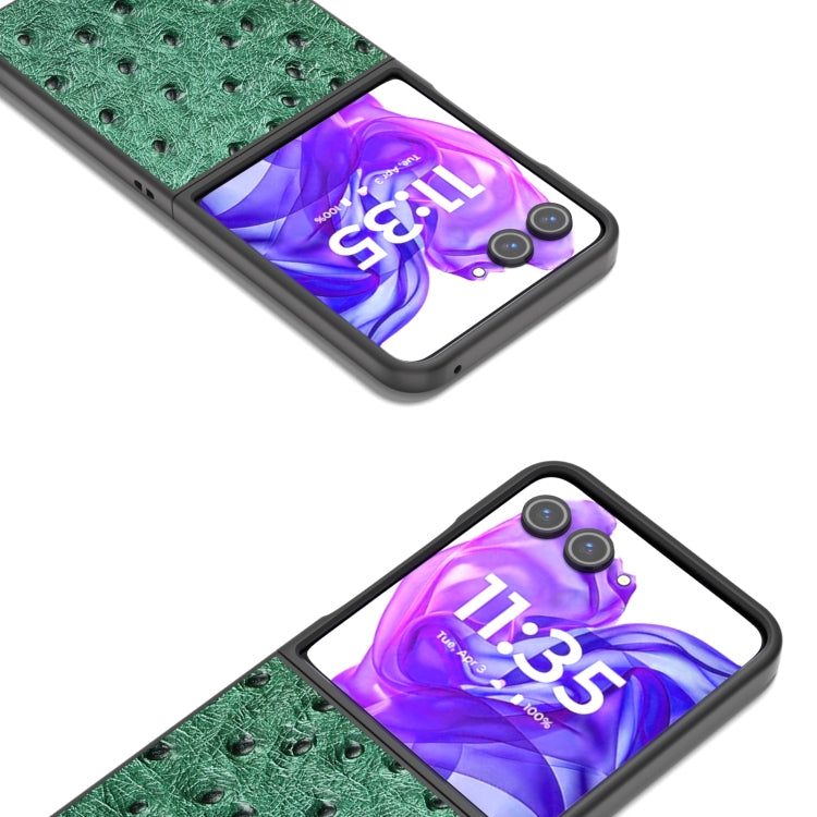 For Motorola Razr 50 Ultra ABEEL Genuine Leather Ostrich Texture Phone Case