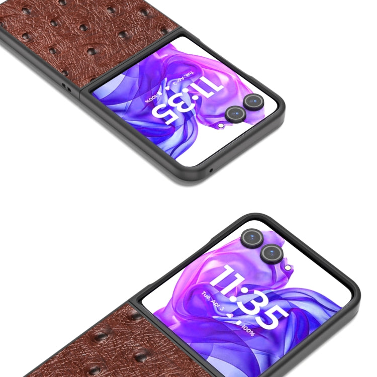 For Motorola Razr 50 Ultra ABEEL Genuine Leather Ostrich Texture Phone Case