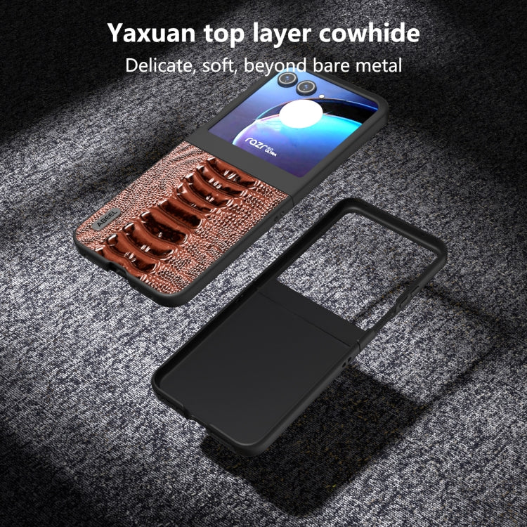 For Motorola Razr 50 ABEEL Genuine Leather Weilai Series Phone Case