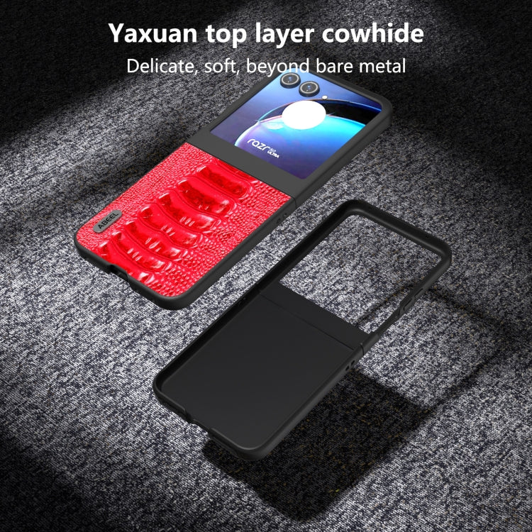 For Motorola Razr 50 ABEEL Genuine Leather Weilai Series Phone Case