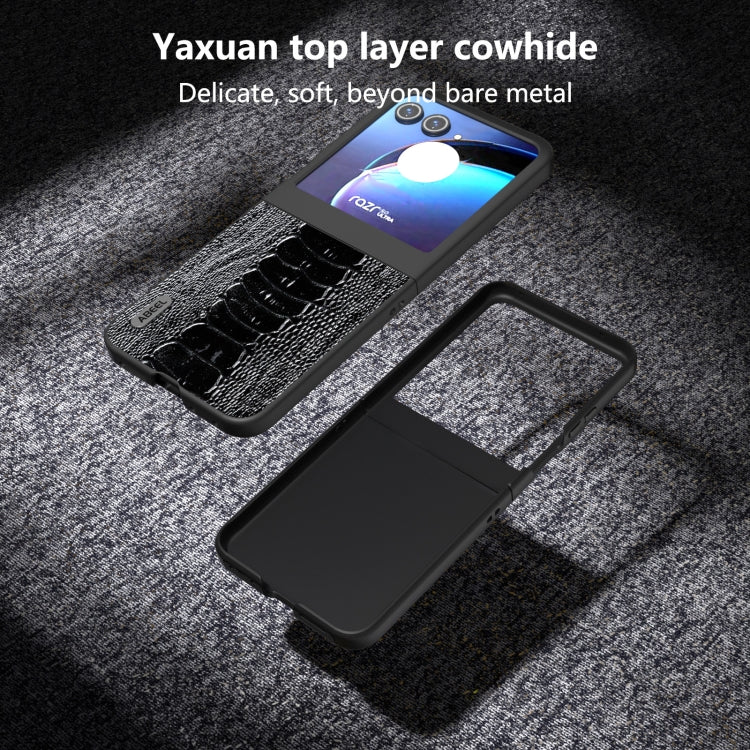 For Motorola Razr 50 ABEEL Genuine Leather Weilai Series Phone Case
