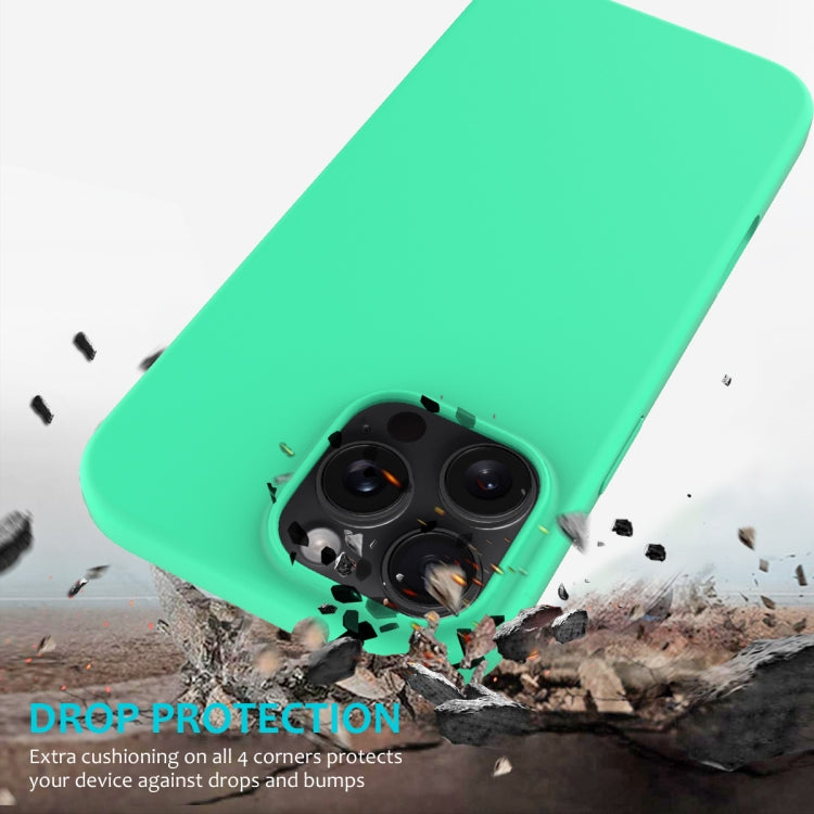 For iPhone 16 Pro Solid Color Silicone Phone Case