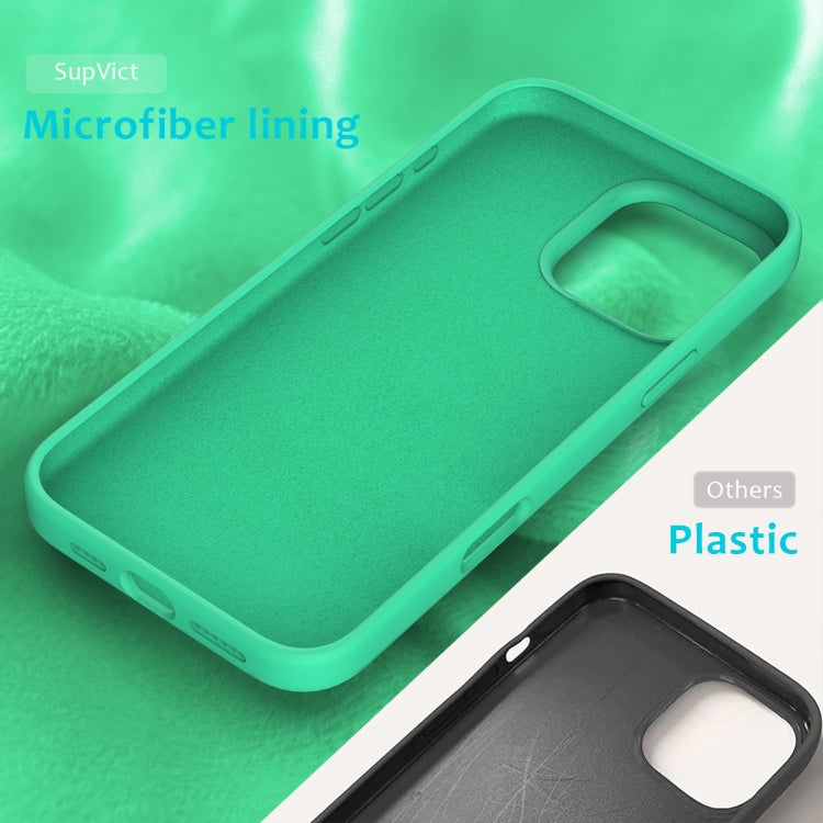 For iPhone 16 Pro Solid Color Silicone Phone Case
