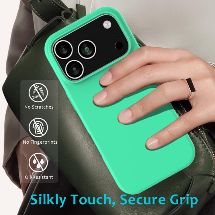 For iPhone 17 Pro Max Solid Color Silicone Phone Case