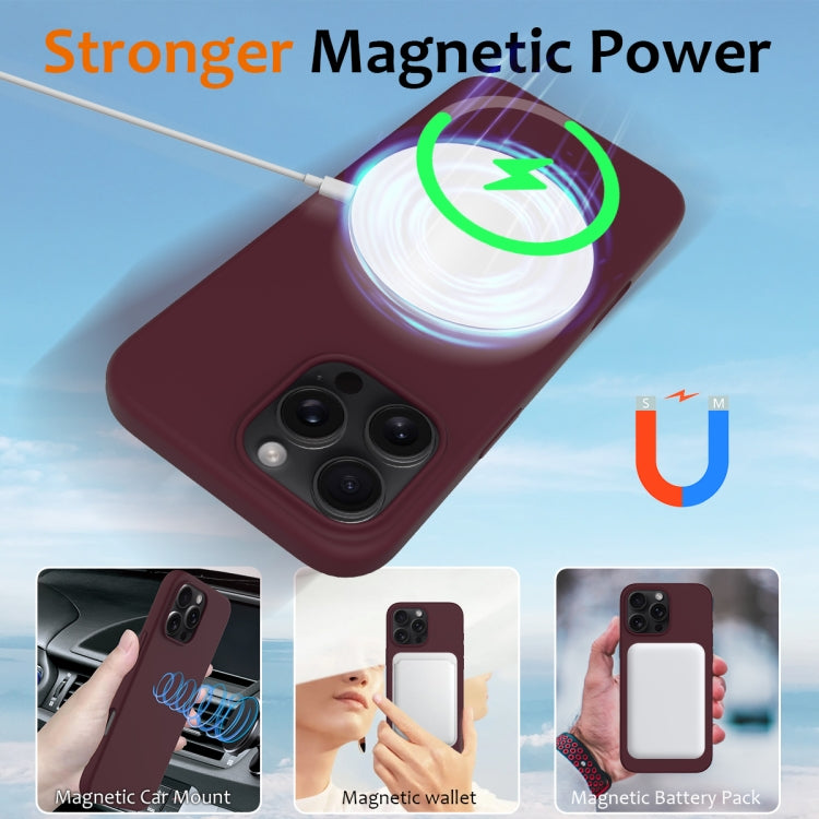 For iPhone 16 Pro Shockproof Silicone Magsafe Phone Case
