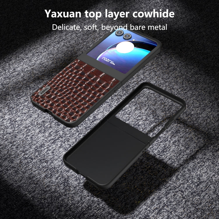 For Motorola Razr 50 ABEEL Genuine Leather Crocodile Pattern Black Edge Phone Case