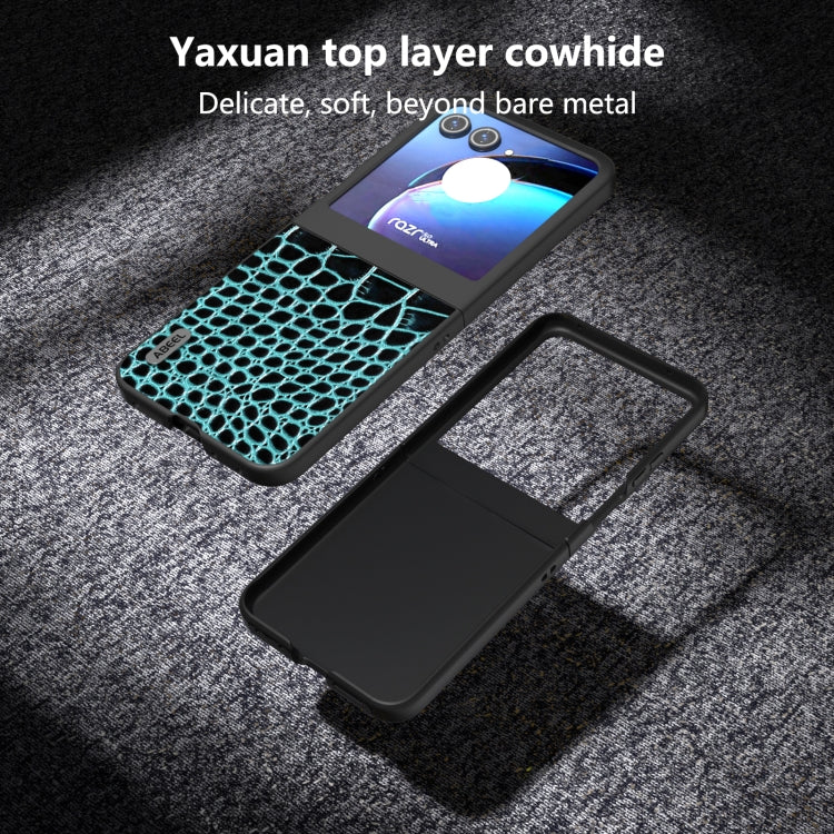 For Motorola Razr 50 ABEEL Genuine Leather Crocodile Pattern Black Edge Phone Case