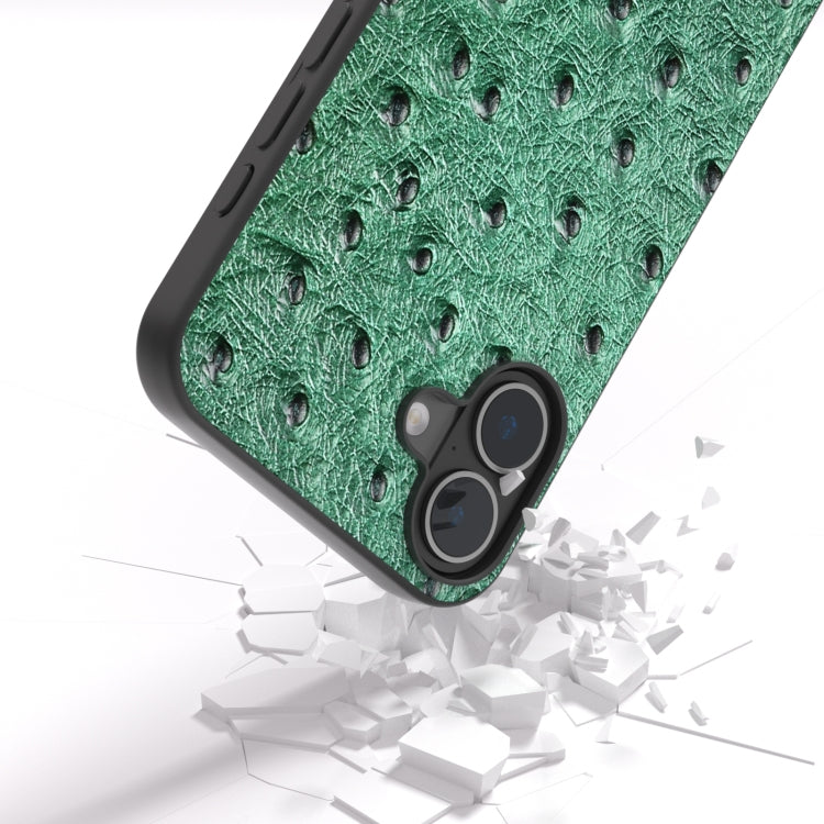 For iPhone 16 Plus ABEEL Genuine Leather Ostrich Texture Phone Case