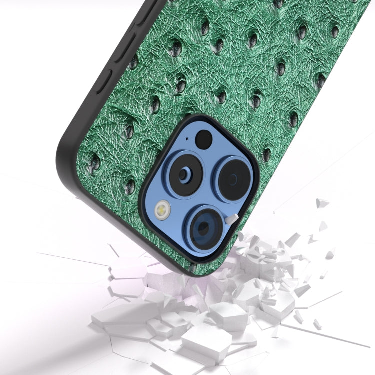 For iPhone 16 Pro Max ABEEL Genuine Leather Ostrich Texture Phone Case