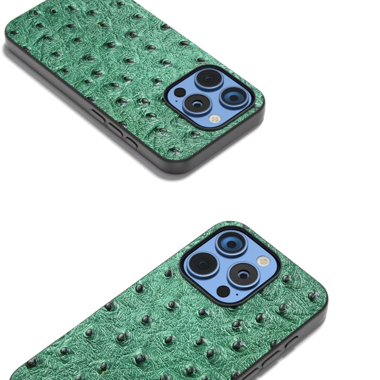 For iPhone 16 Pro ABEEL Genuine Leather Ostrich Texture Phone Case