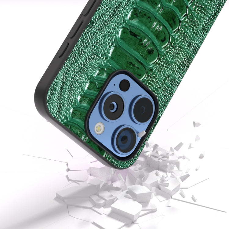 For iPhone 16 Pro Max ABEEL Genuine Leather Weilai Series Phone Case