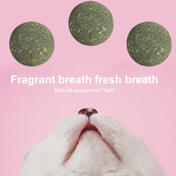 5pcs Pet Snack Hair Removal Ball Cat Mint Ball