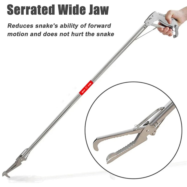 Foldable Multipurpose Stainless Steel Eel Loach Clamp Grab Tool, Length: