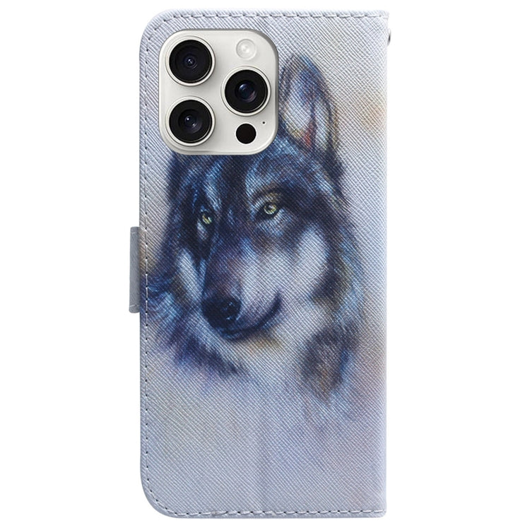 For iPhone 16 Pro Coloured Drawing Flip Leather Phone Case