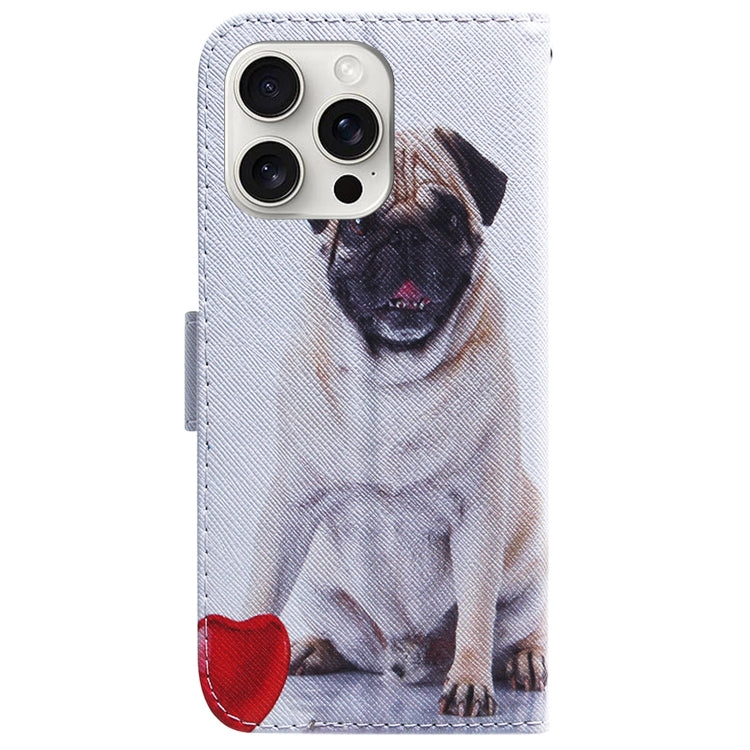 For iPhone 16 Pro Coloured Drawing Flip Leather Phone Case