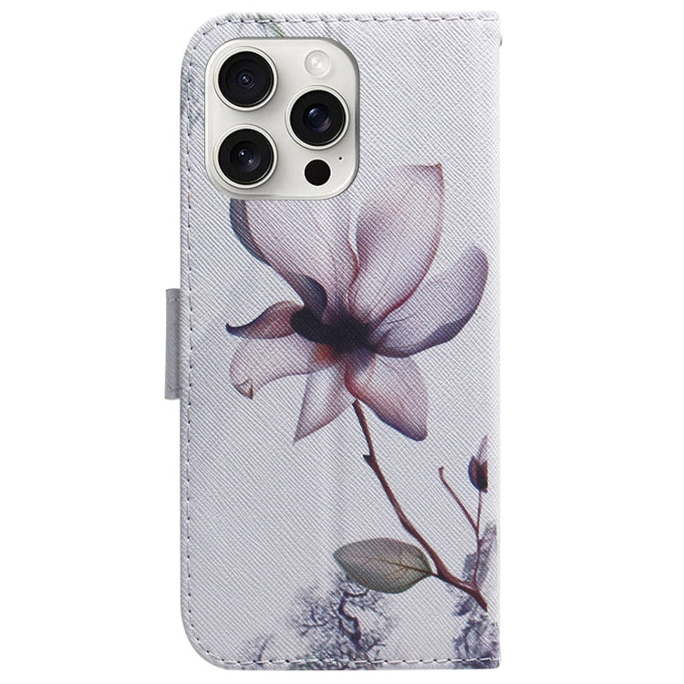 For iPhone 16 Pro Coloured Drawing Flip Leather Phone Case
